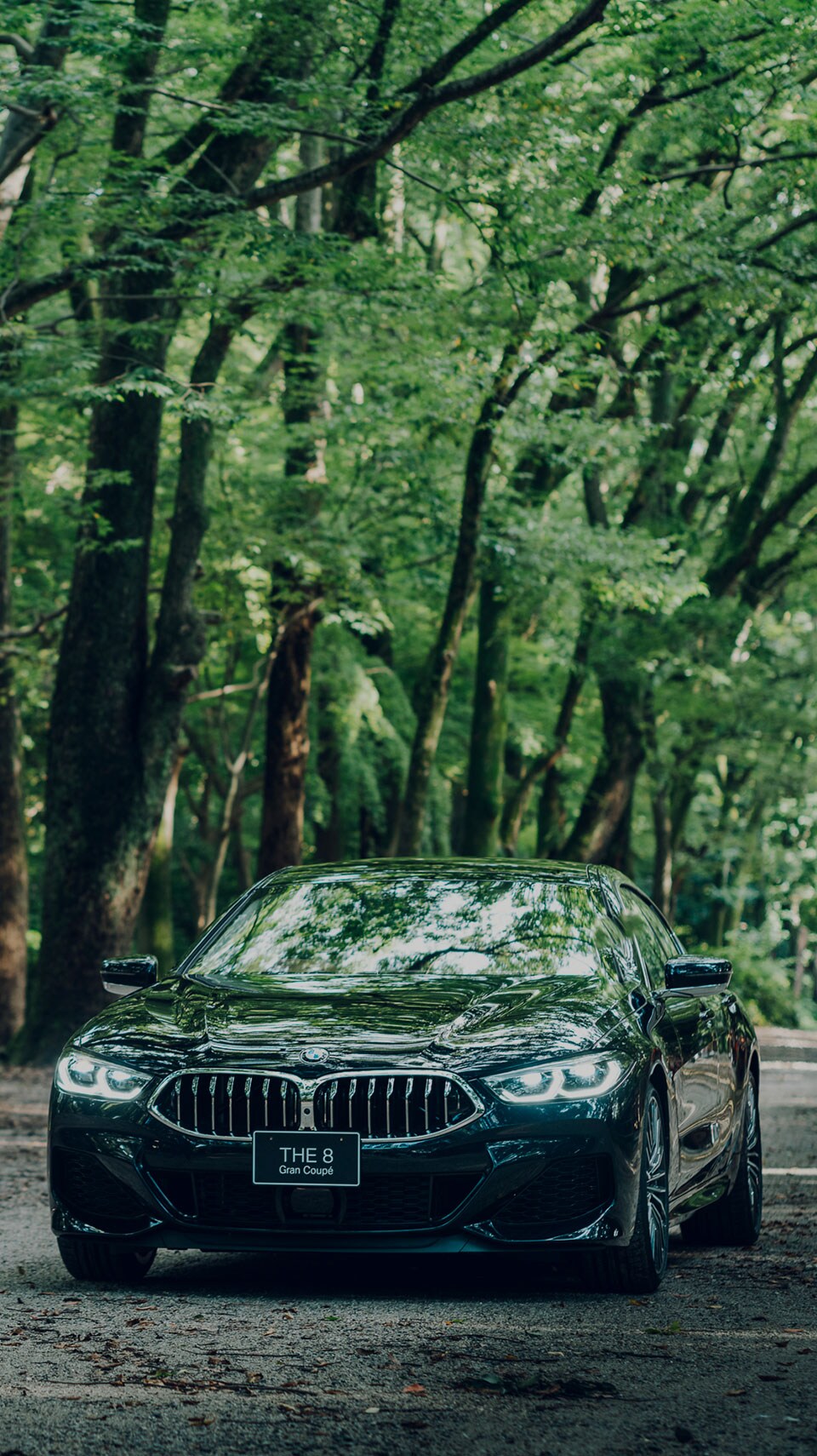 BMW 8シリーズ グラン クーペ KYOTO EDITION. BMWと日本の名匠による美と技の頂点。