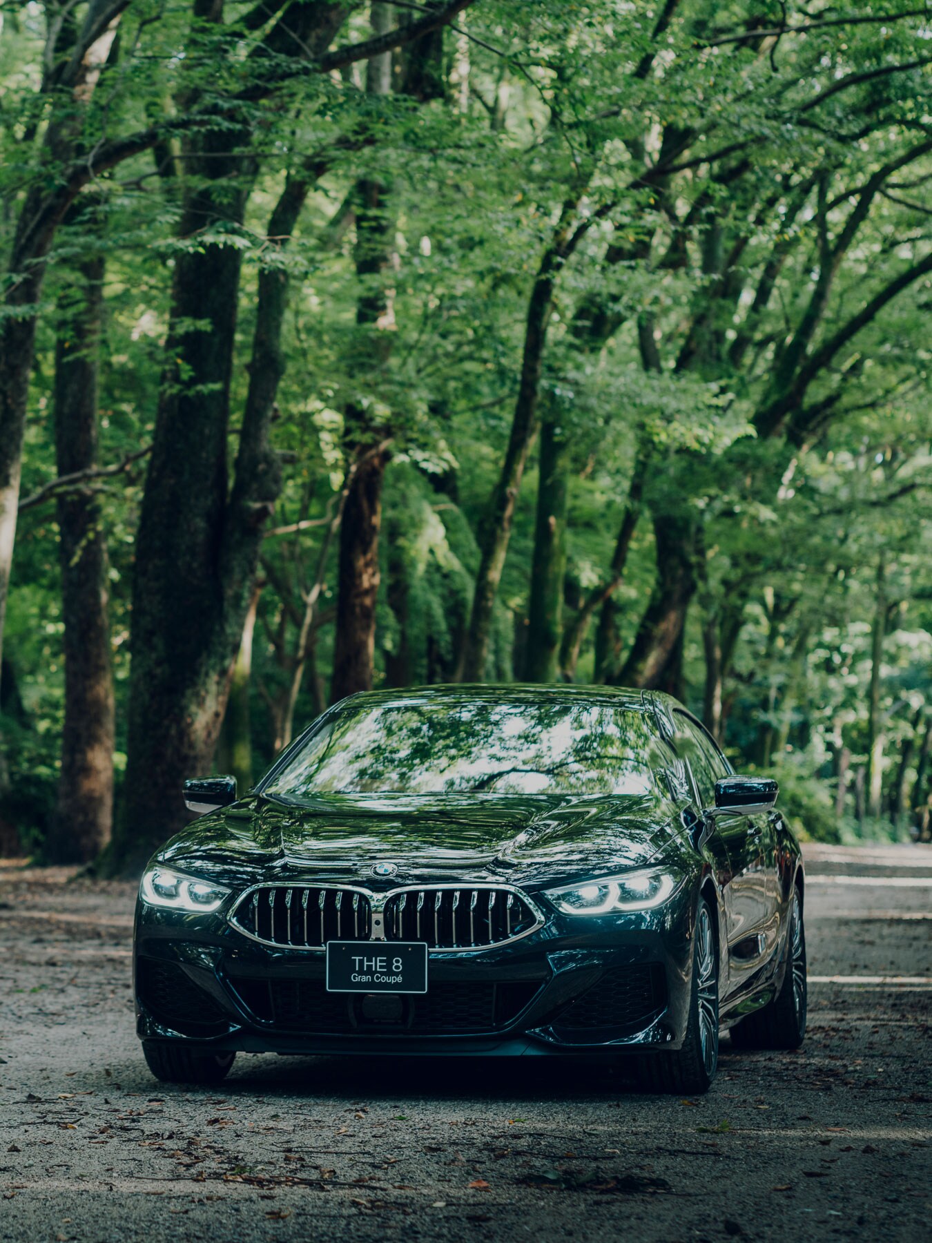 [第4回] BMW 8シリーズ グラン クーペ KYOTO EDITION. BMWと日本の名匠による美と技の頂点。