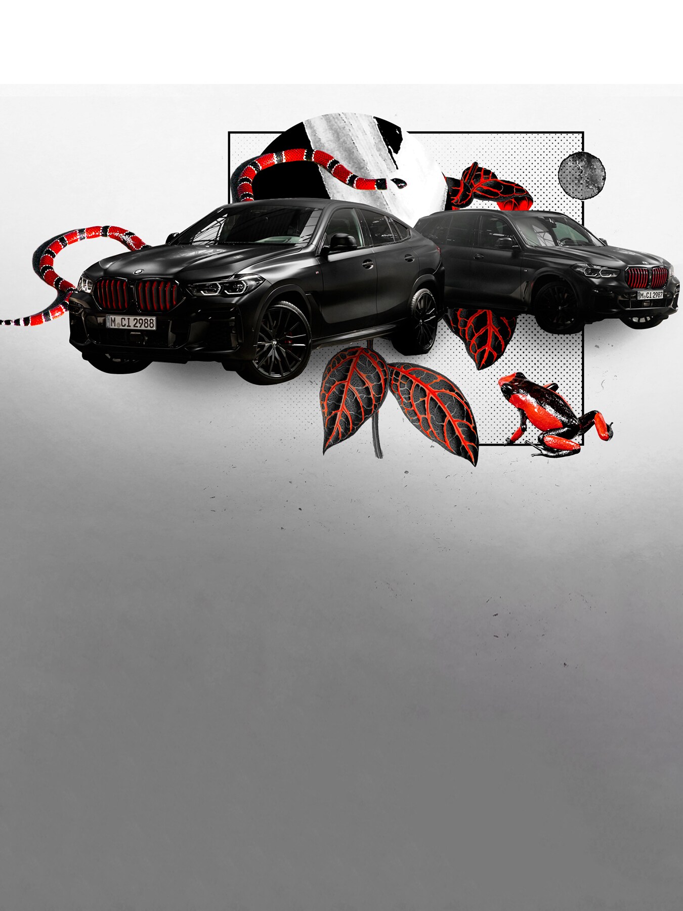 BMW X5 und BMW X6 in Schwarz-Rot: von Natur aus inspiriert