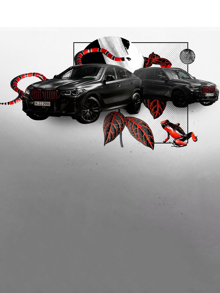 BMW X5 and BMW X6 in black and red: inspired by nature