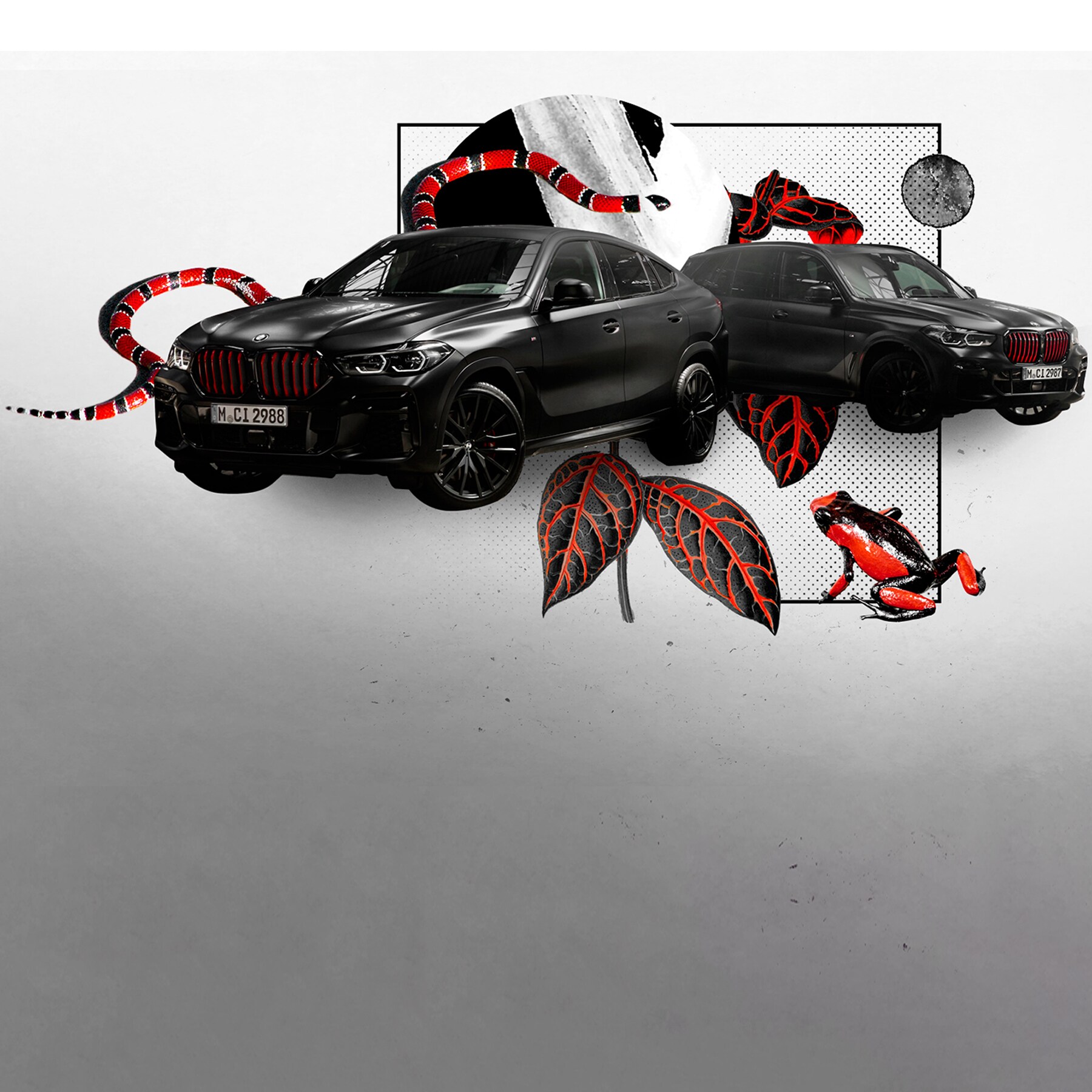 BMW X5 et BMW X6 en noir et rouge : inspirées de la nature