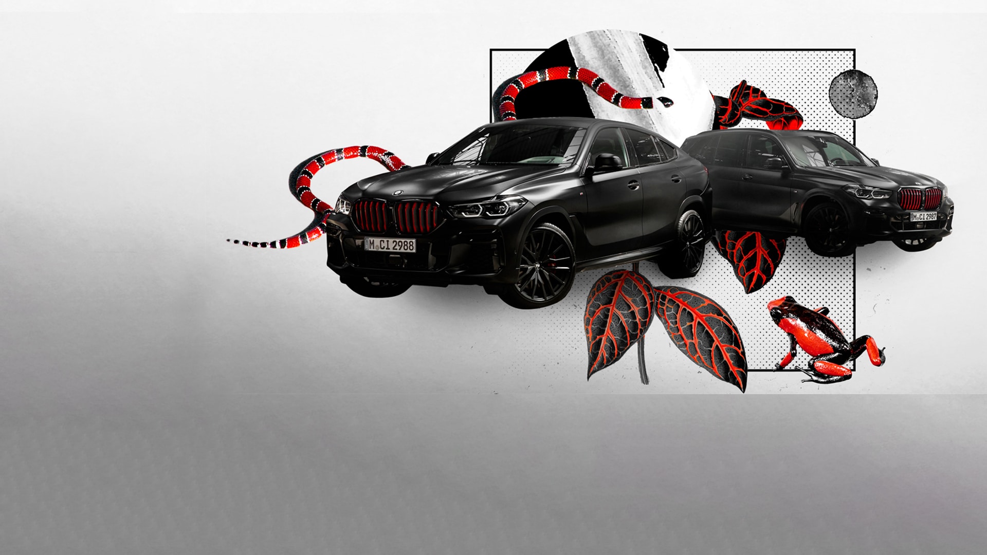 BMW Edition Black Vermilion: inspirada en la naturaleza