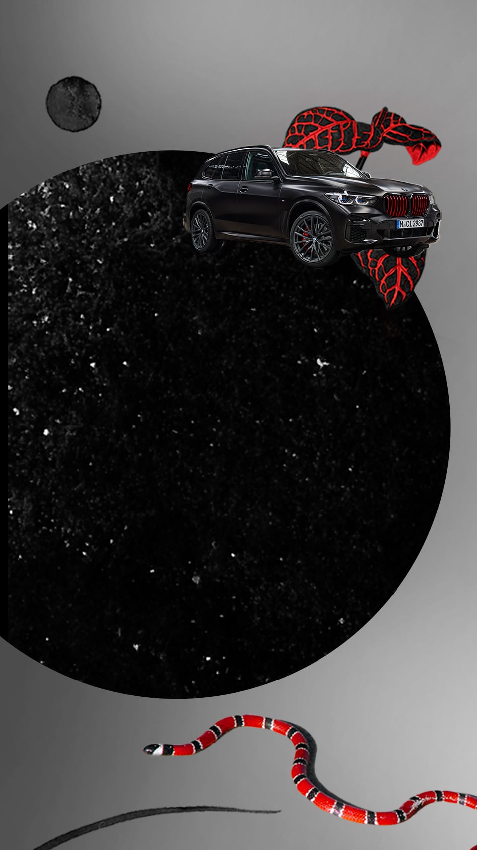 BMW Edition Black Vermilion: inspired by nature