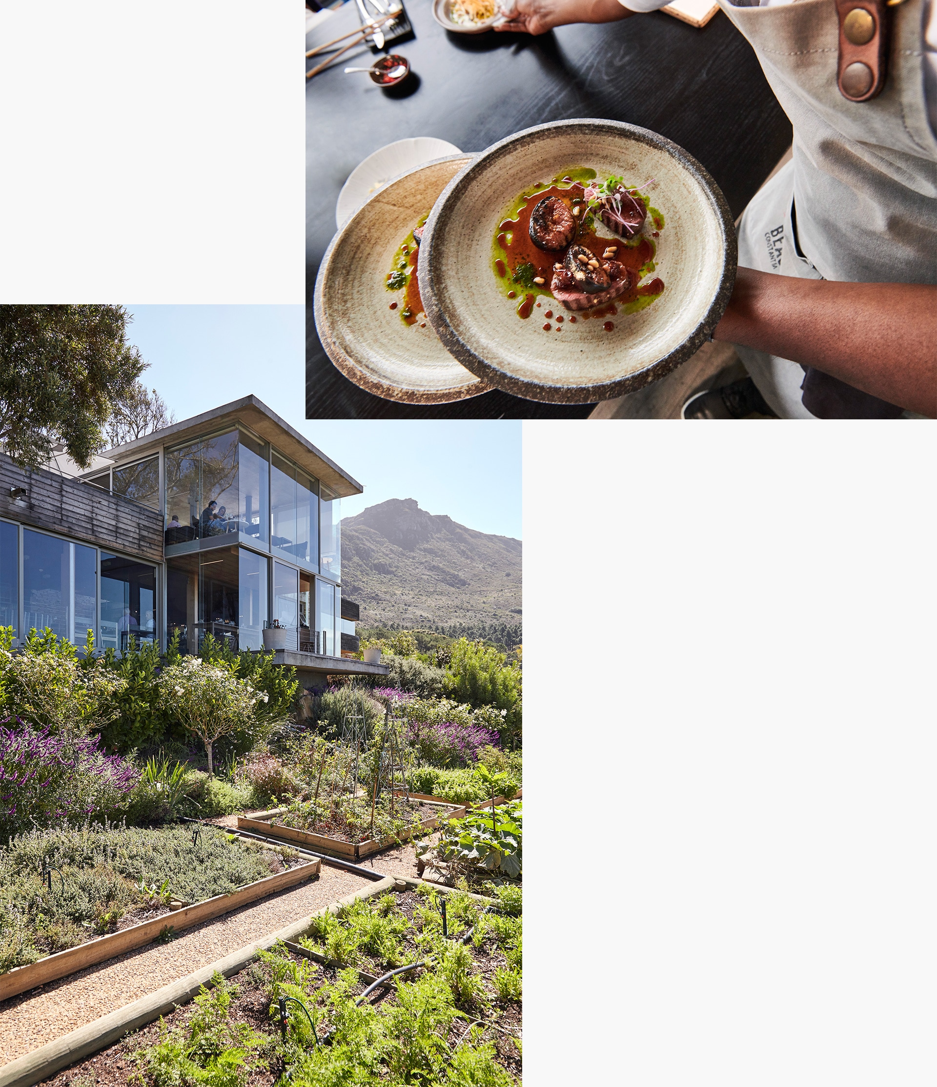 Delicias culinarias en el restaurante más selecto de Ciudad del Cabo: El "Chef’s Warehouse at Beau Constantia" ha sido incluido en la categoría Discovery de la página web "World's 50 Best Restaurants"
