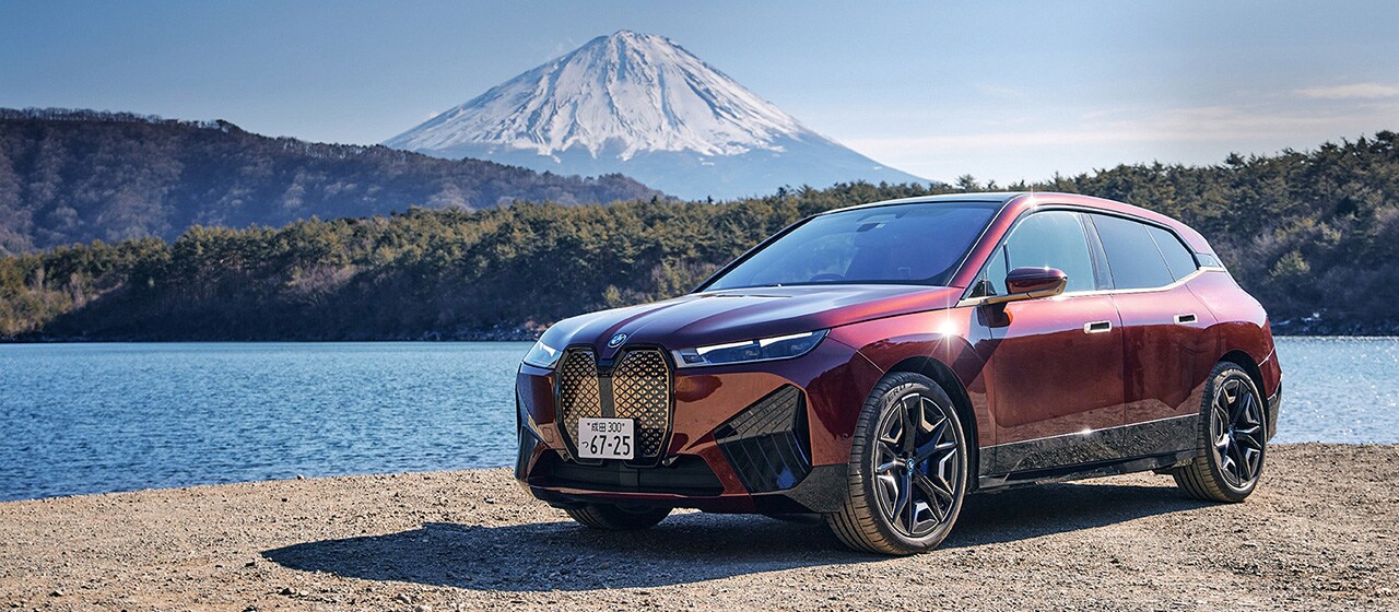 THE iX