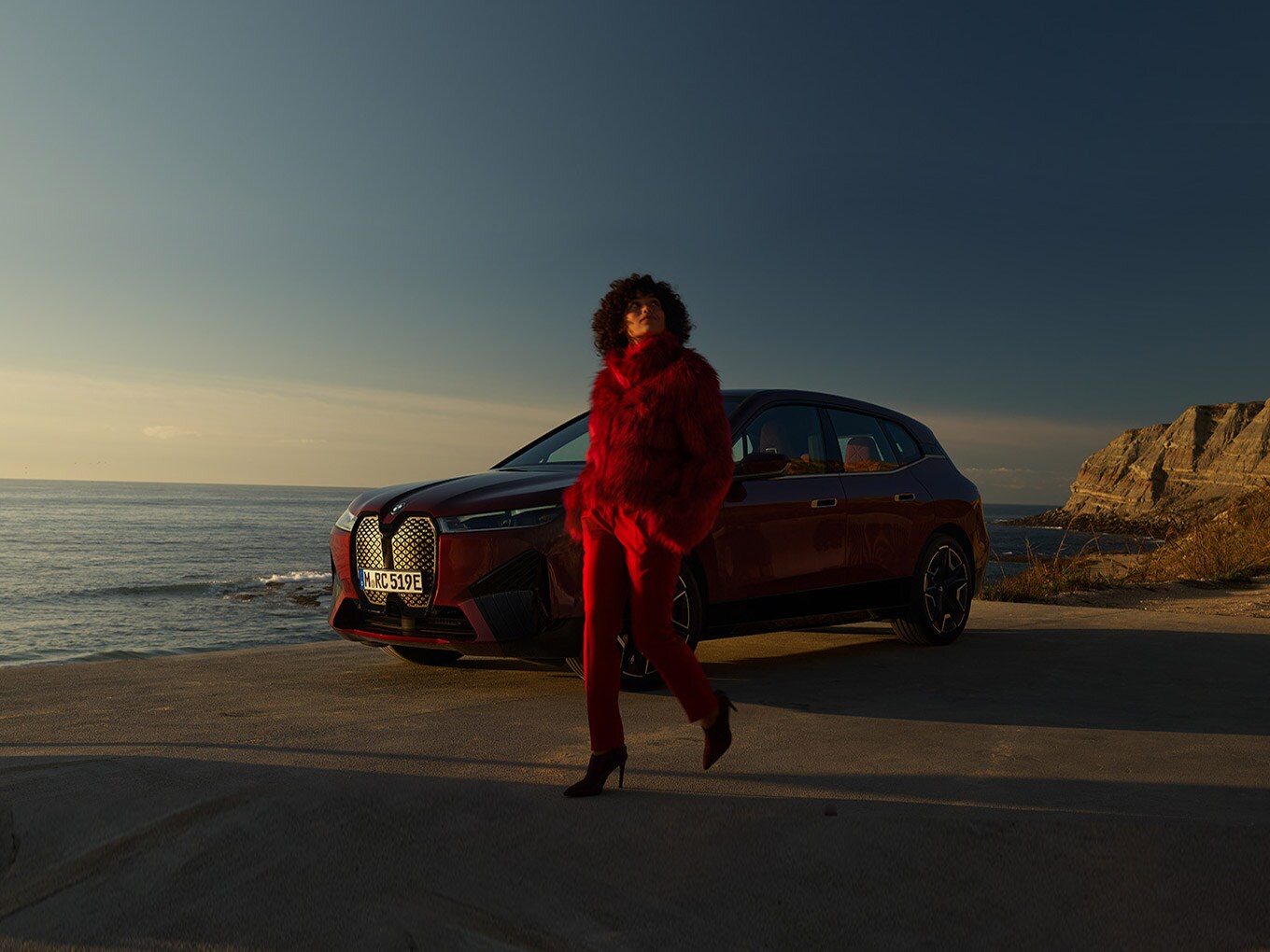 THE iX