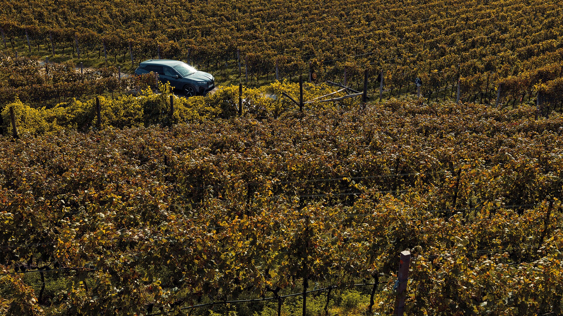 BMW iX, Electromovilidad, sostenibilidad, sur del tirol, Naturhotel Leitlhof