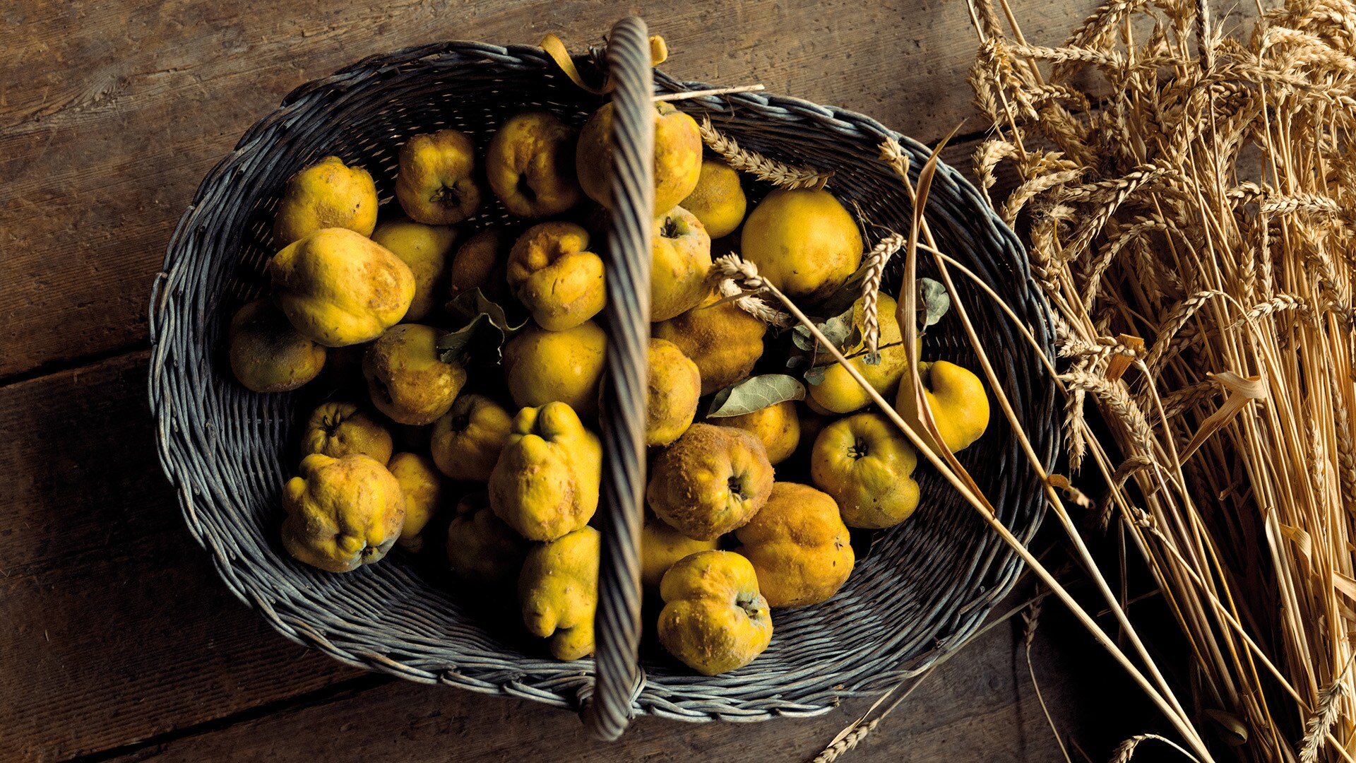 Bodegón con membrillos. Gasser se ha dado cuenta de una buena tendencia: Ya no solo tienen salida los productos grandes y de formas impecables. Las piezas imperfectas son precisamente las que demuestran que se trata de productos naturales cultivados a mano y no fabricados en serie.