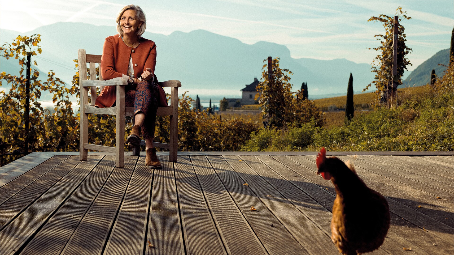 Unión con la naturaleza y con los animales: En invierno, unas 70 ovejas pastan entre las vides y trabajan la tierra. Las gallinas de la finca también son unas valiosas empleadas. 