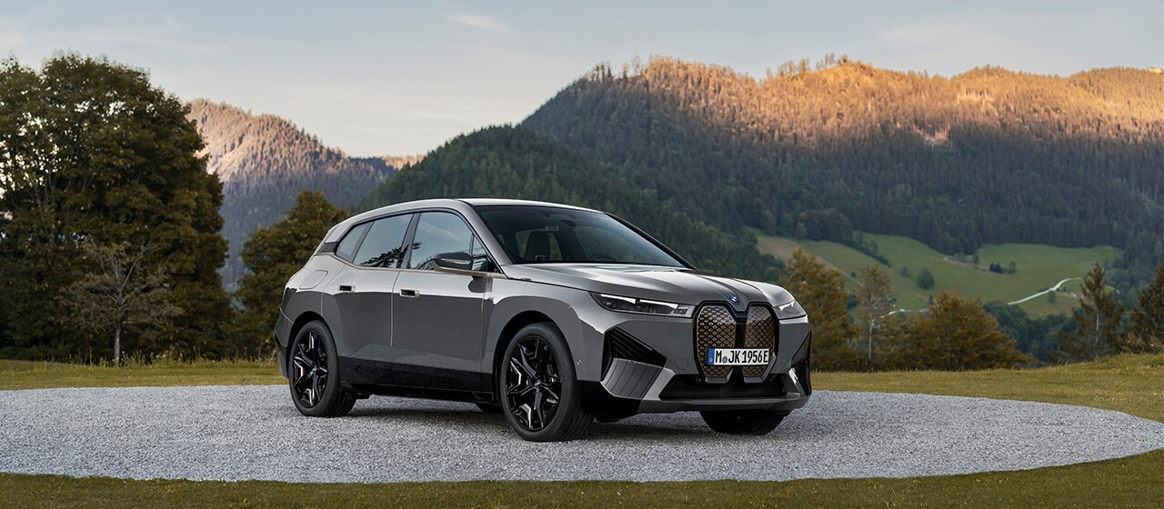 THE iX