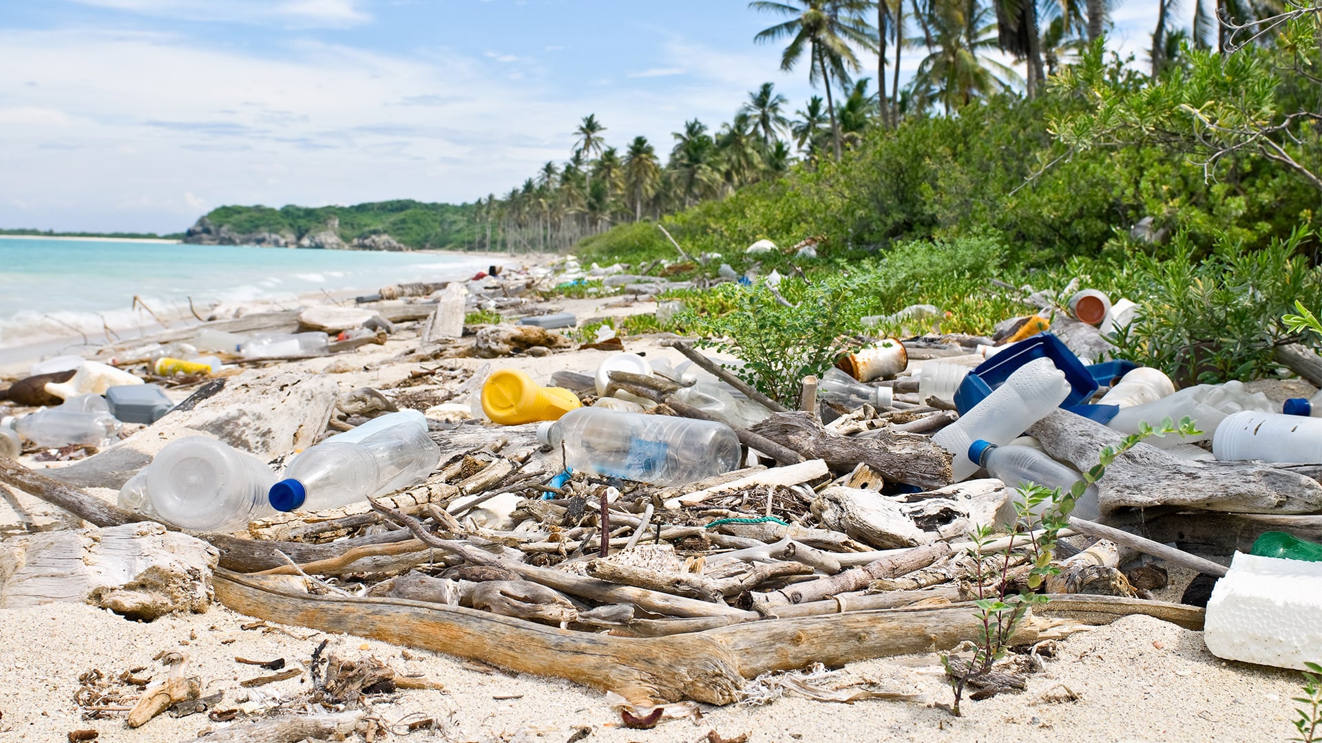 Resultado de imagen para Un recolector de basura flotante busca limpiar el gran parche de basura en el PacÃfico