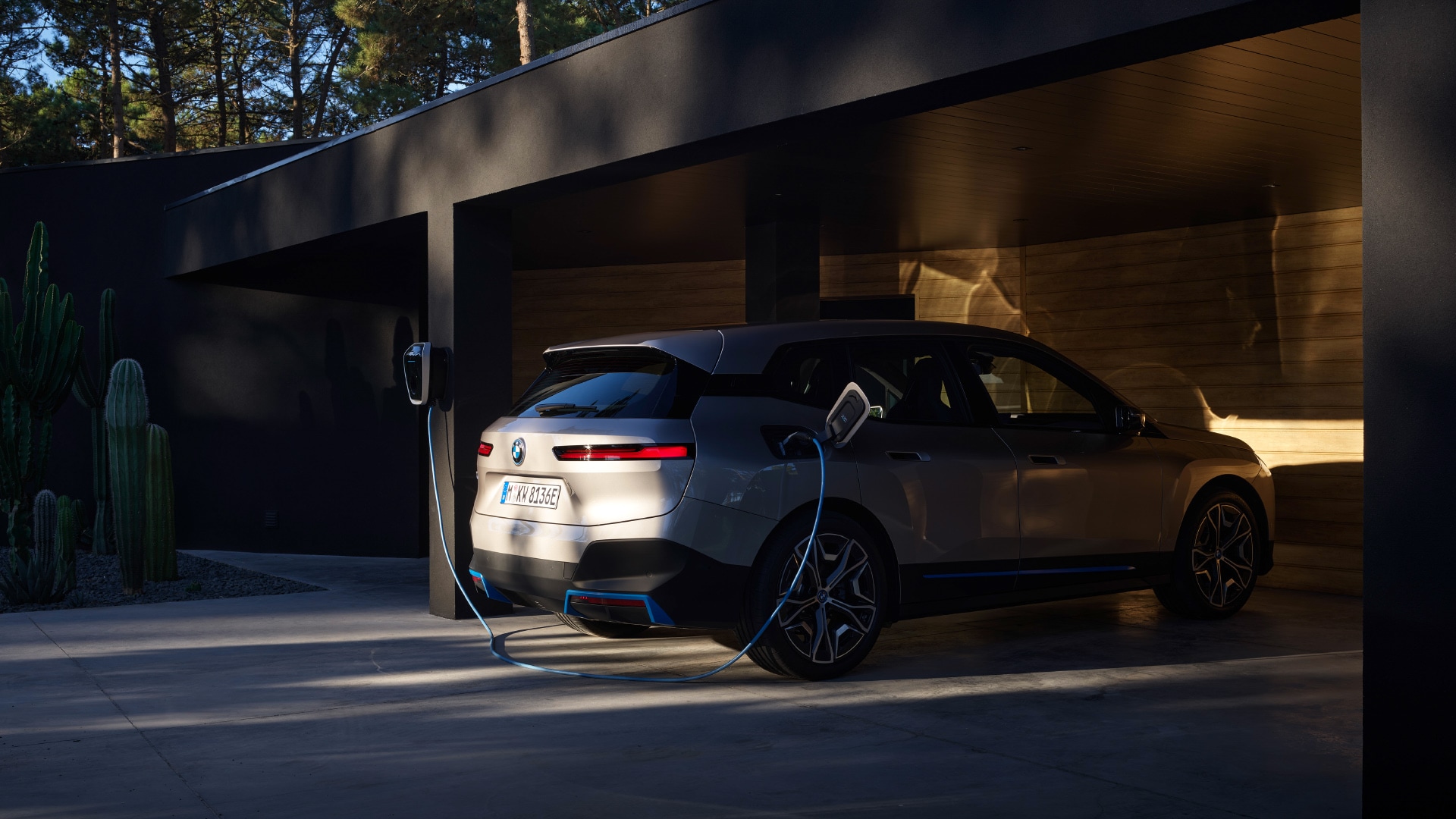 THE iX