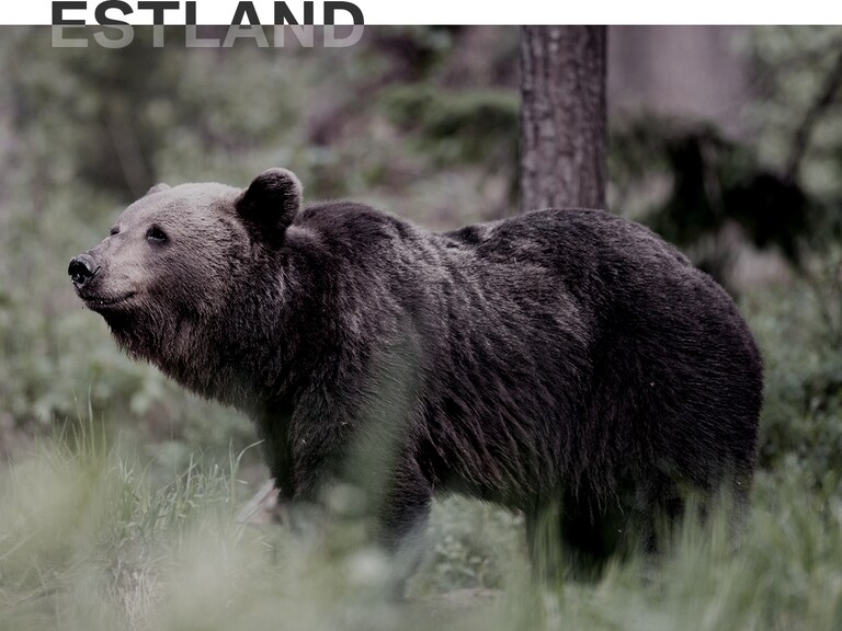 Estland