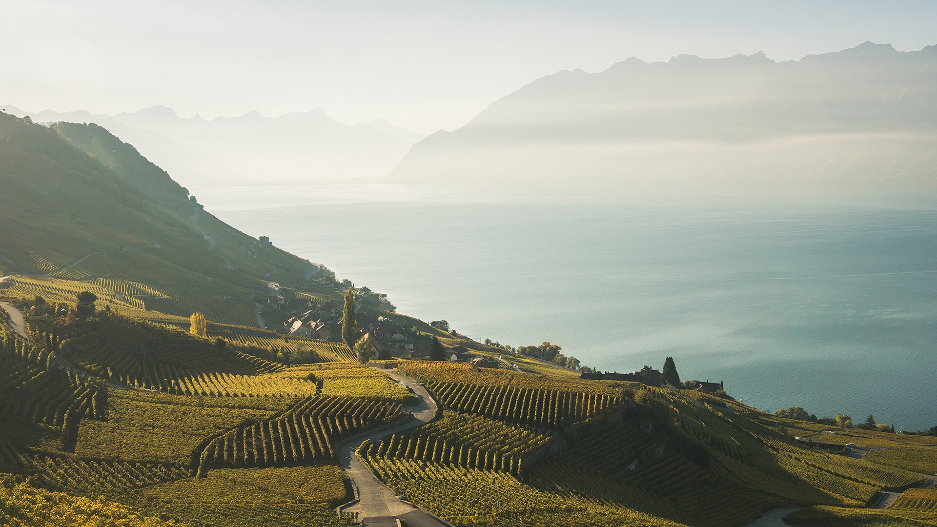 Un plato que no puede faltar en el menú de un tour por Suiza: con sus más de 800 hectáreas, los viñedos de Lavaux componen la región vitivinícola continua más grande de Suiza y han sido declarados Patrimonio de la Humanidad por la UNESCO.
