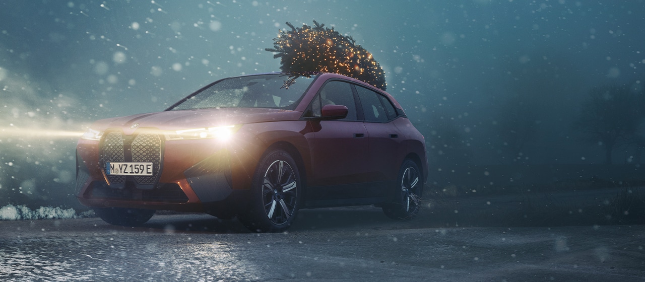 THE iX