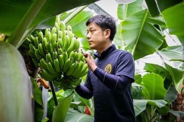 無農薬のため害虫の駆除に膨大な時間と手間がかかる。
