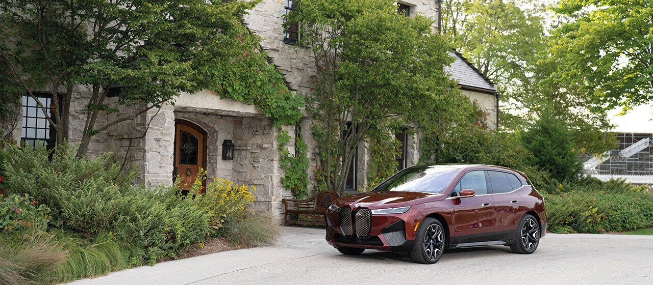 THE iX