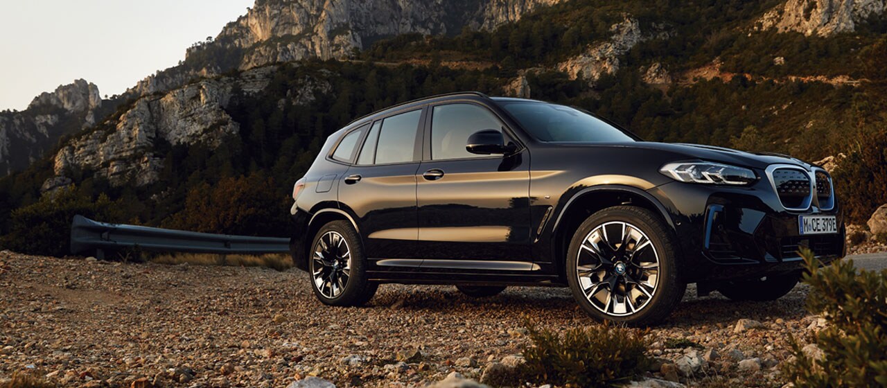 THE iX3