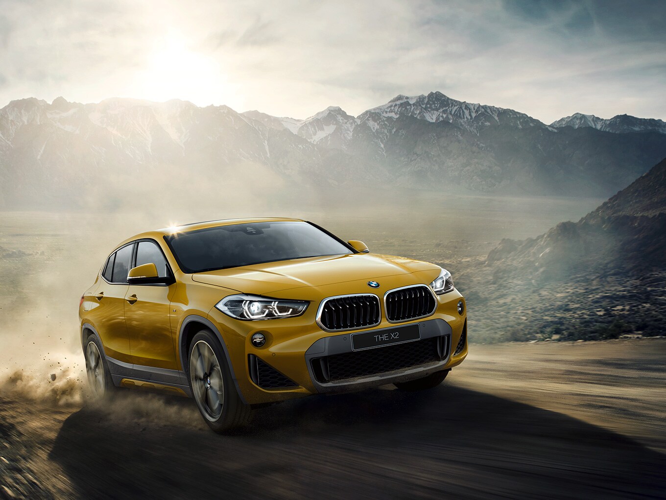 THE X2