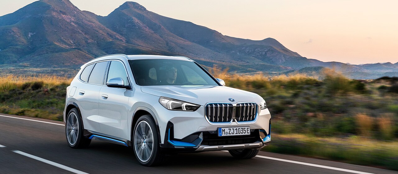 THE iX1
