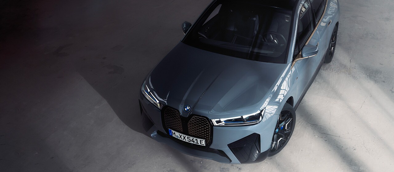 THE iX