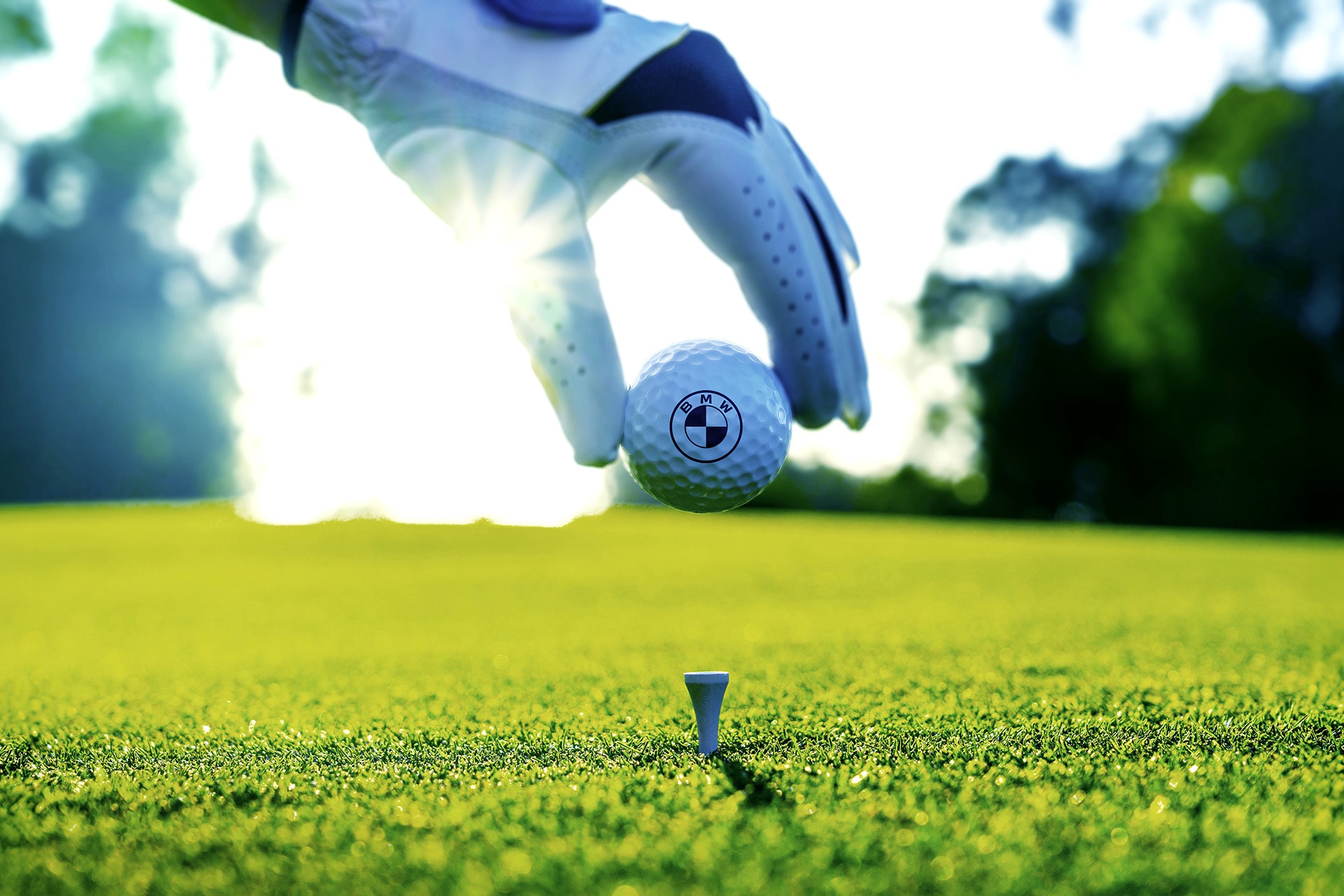BMW | Golf
