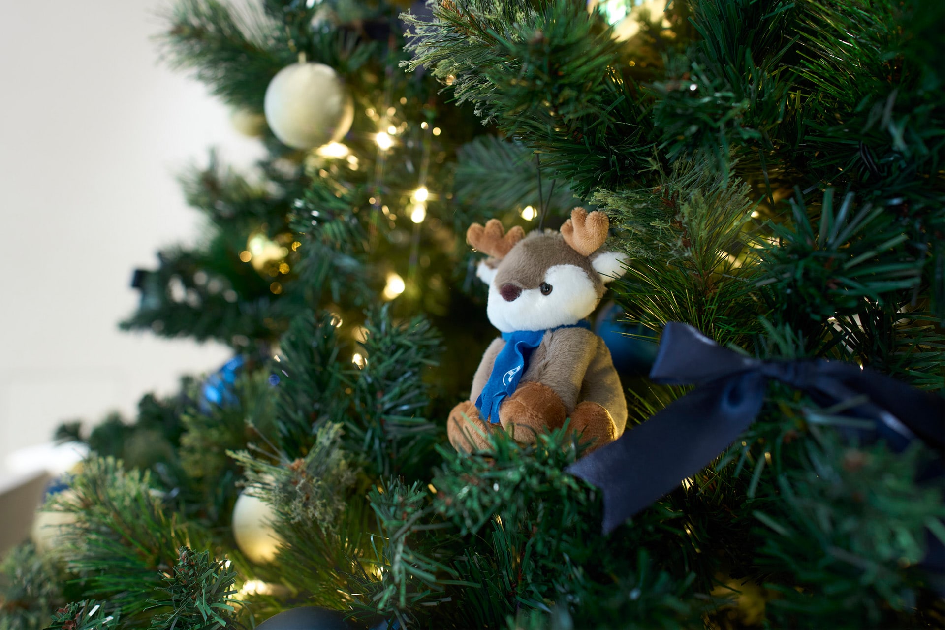 大切な相棒と、『FREUDE by BMW』でクリスマスのひとときを