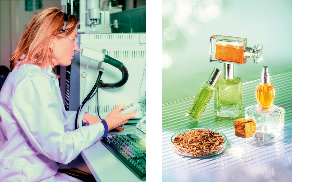 A group of scientists from the Netherlands takes the reader into the world of synthetic biology with the incredible promise of transforming the perfume industry, drop by drop, into a sustainable business.