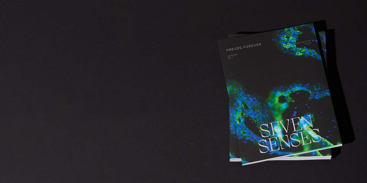 FREUDE FOREVER a new magazine presented by BMW BMW com