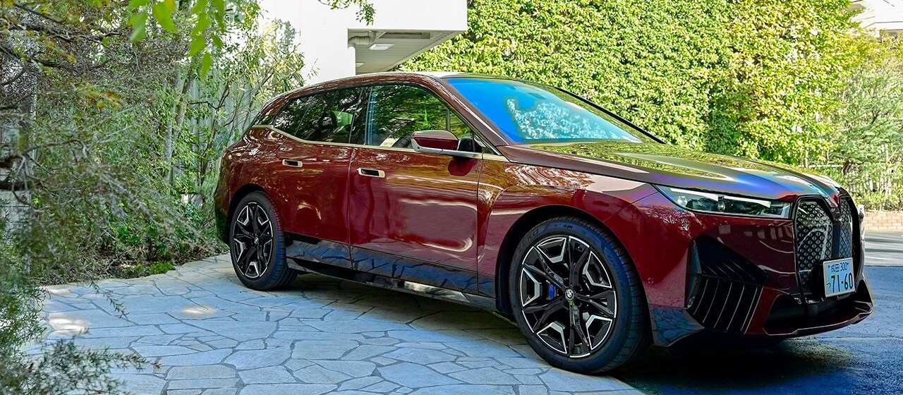 THE iX