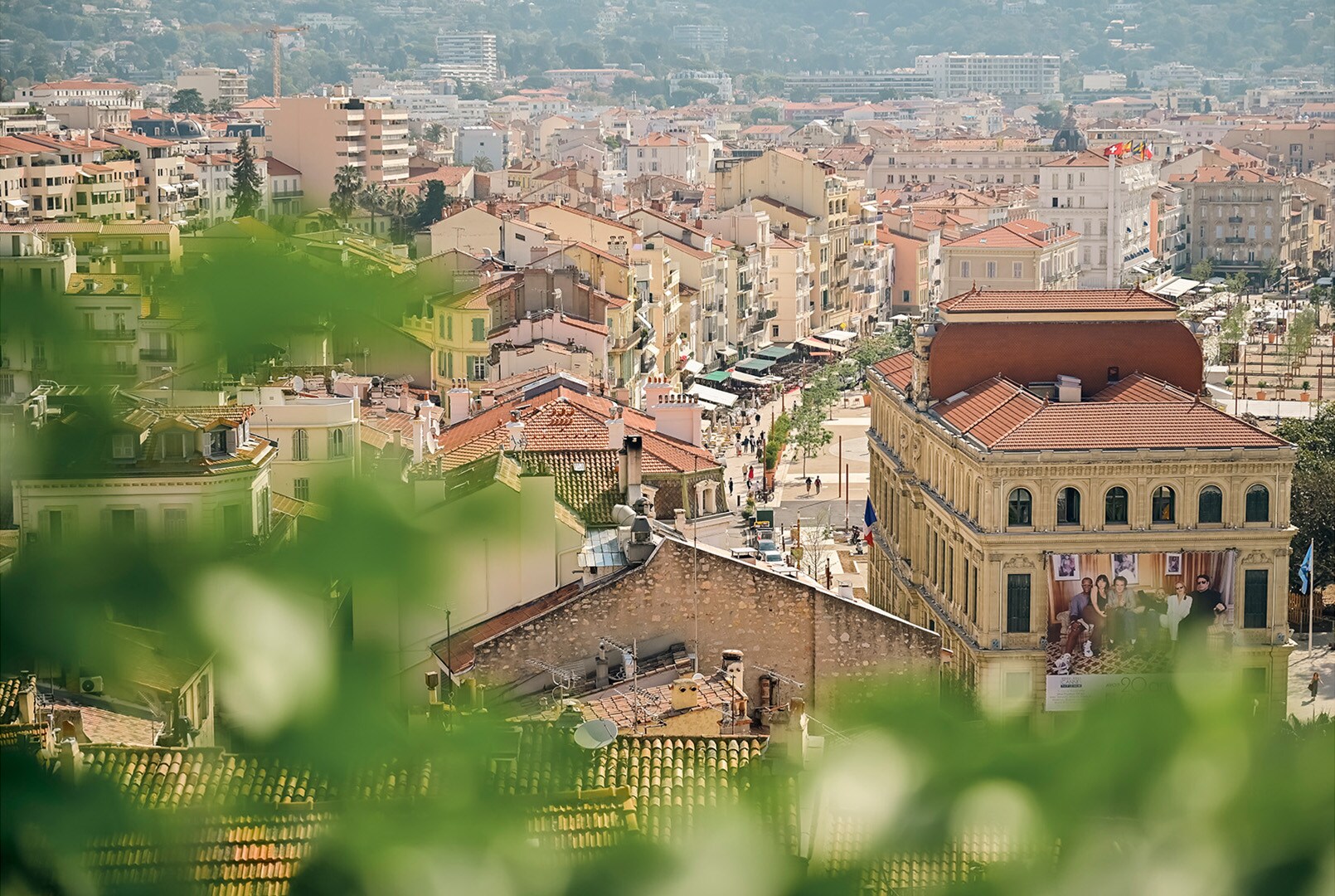 Image 6