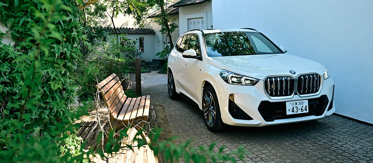 THE iX1
