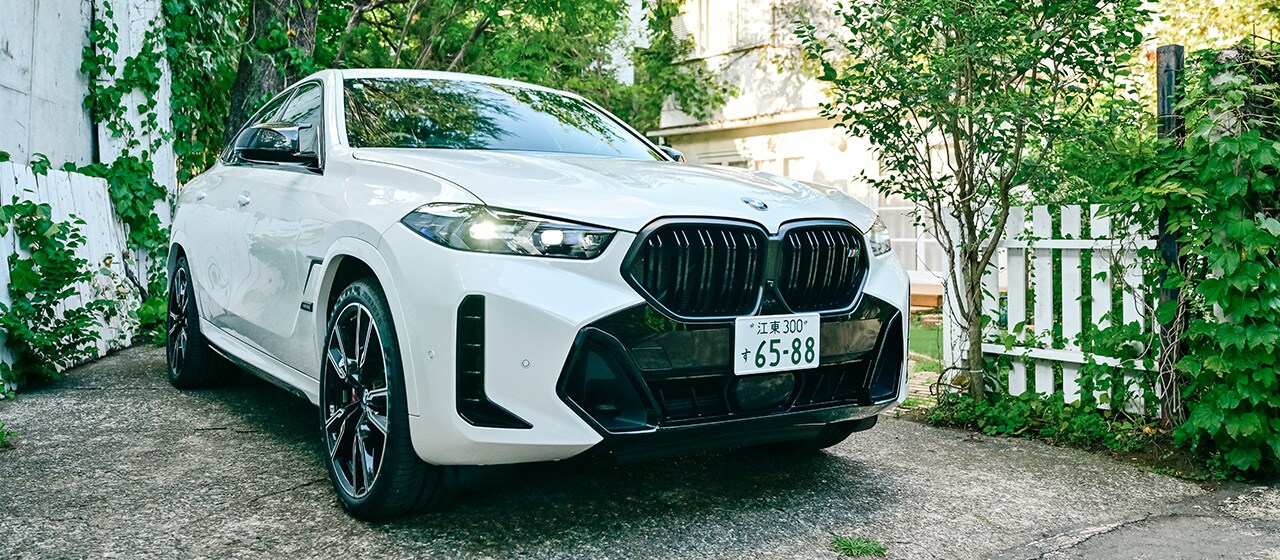 THE X6