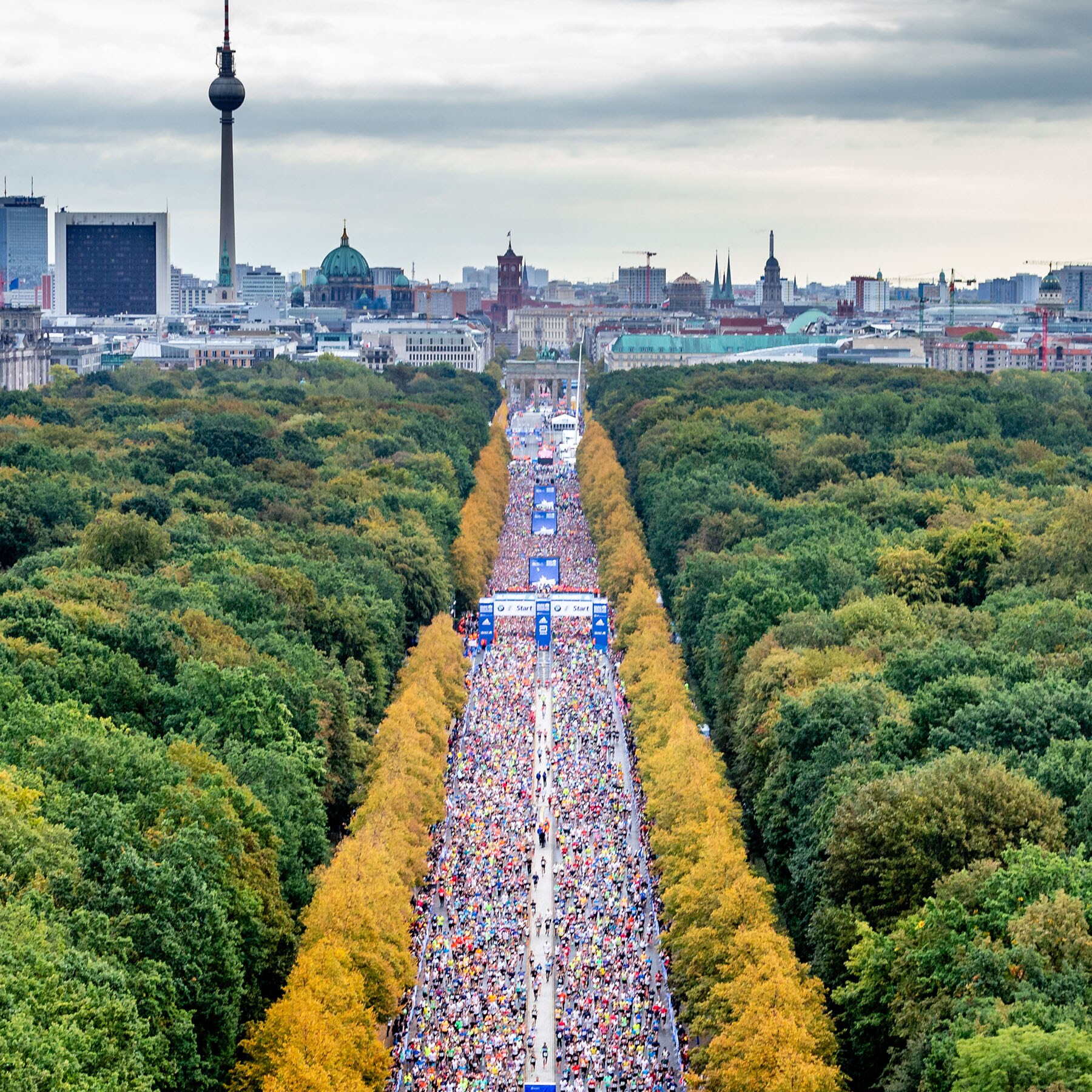 BMW BERLIN-MARATHON bmw berlin marathon 2021 