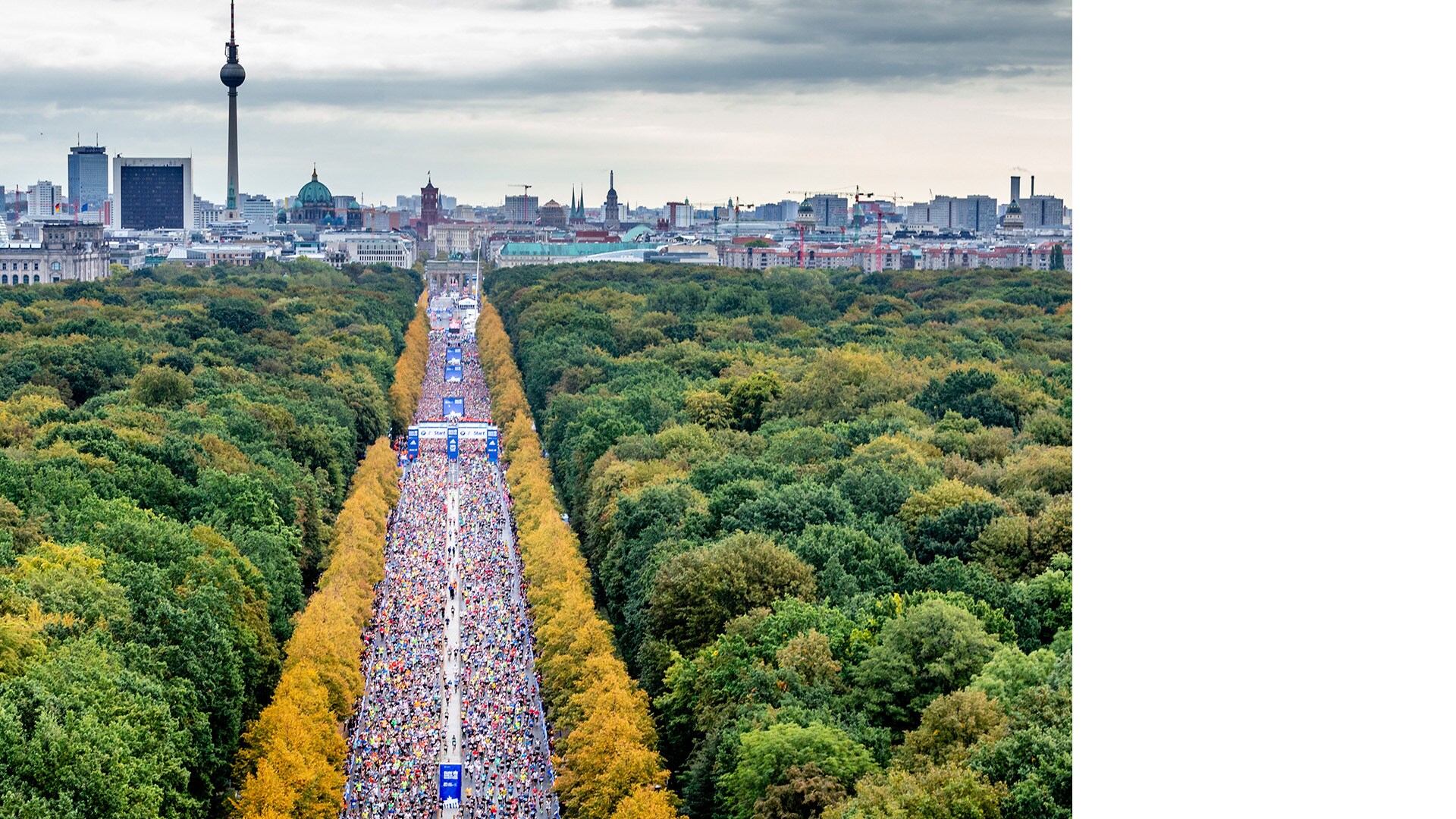 BMW BERLIN-MARATHON bmw berlin marathon 2021 