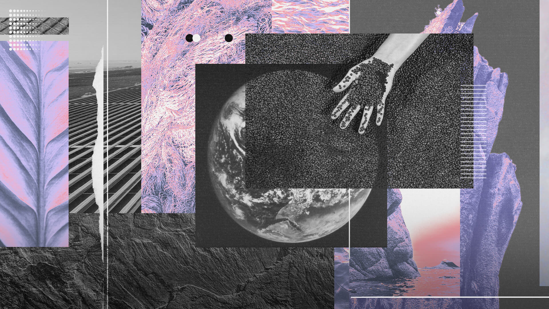 Episode 01 | How do we source a sustainable future? 