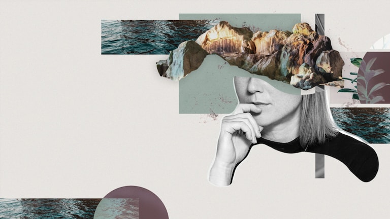 Sustainability and its best players