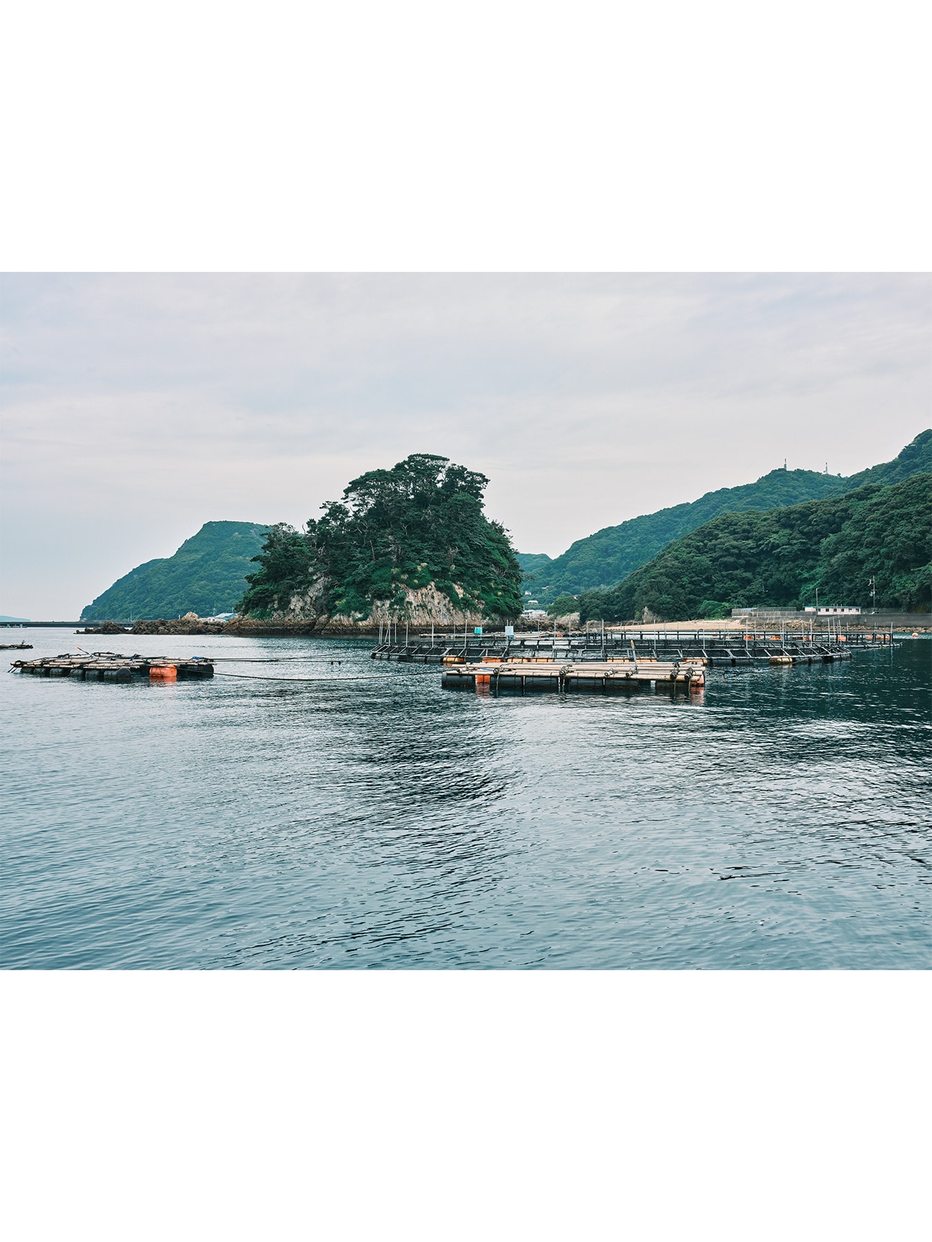 The future is a question that is always closely linked to a commitment to change in the present – just like with sustainable fish farming.