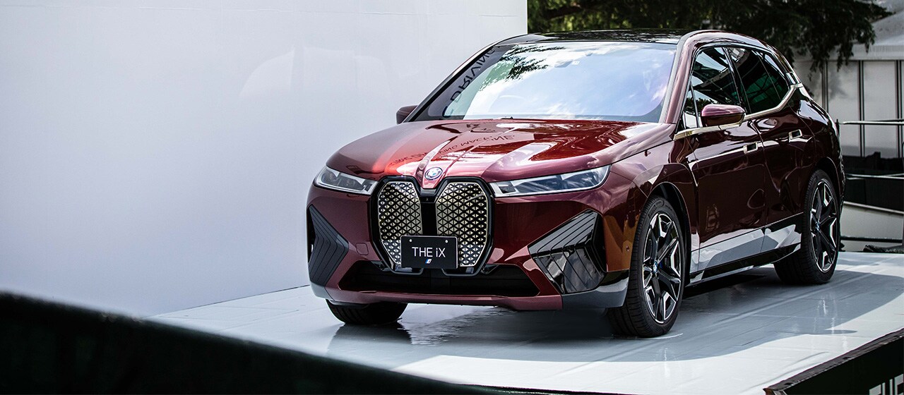 THE iX
