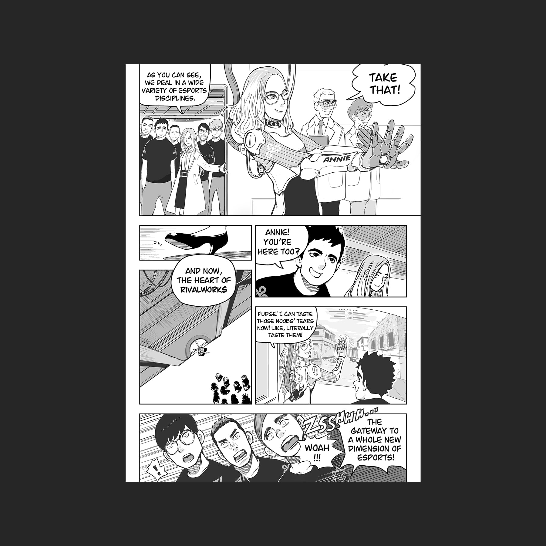 Image 11