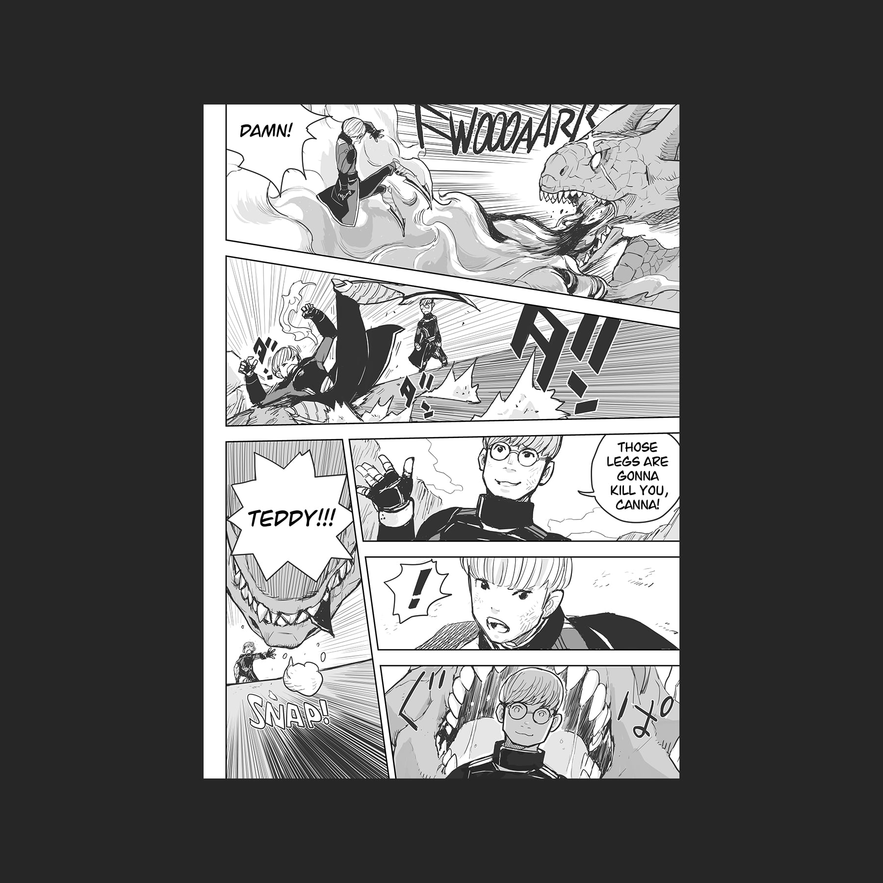 Image 5
