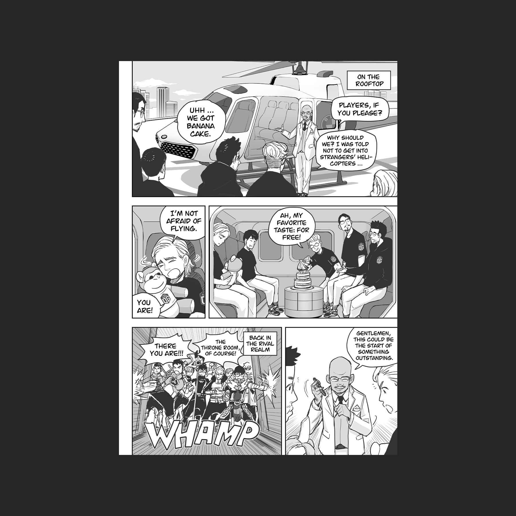 Image 11