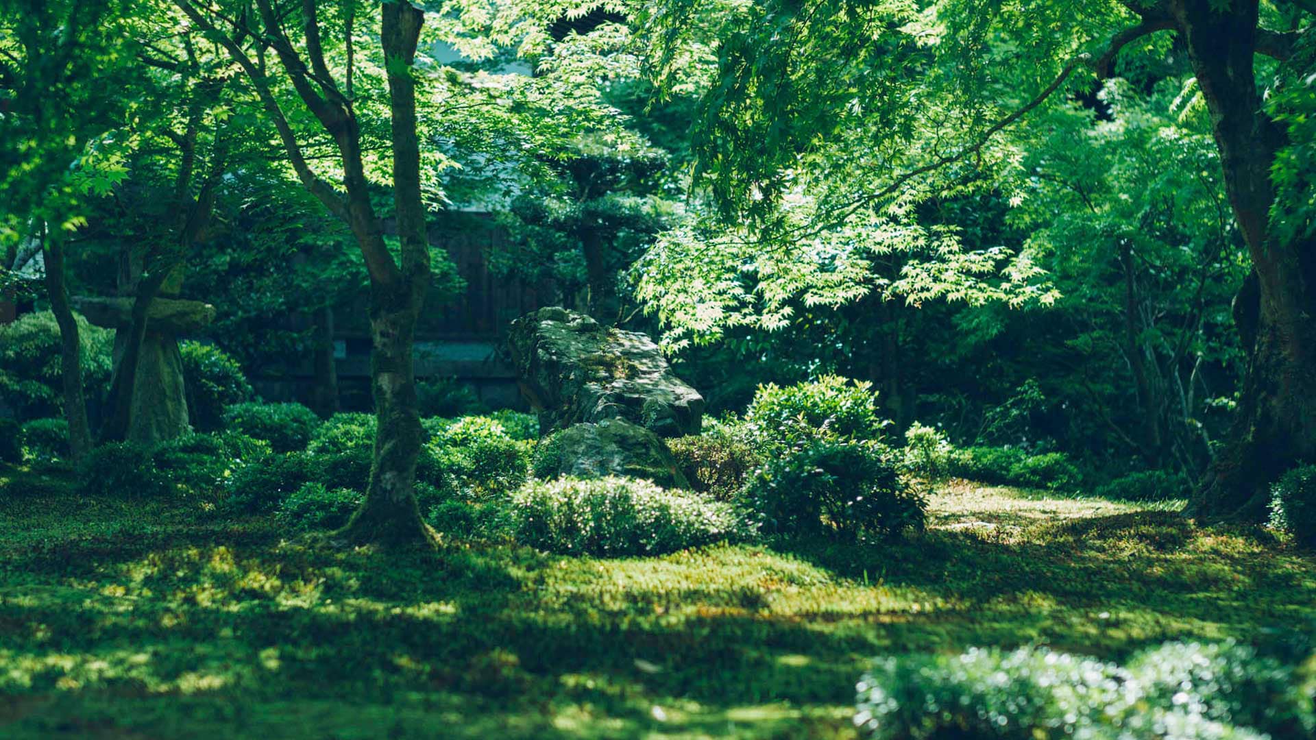 京都庭園