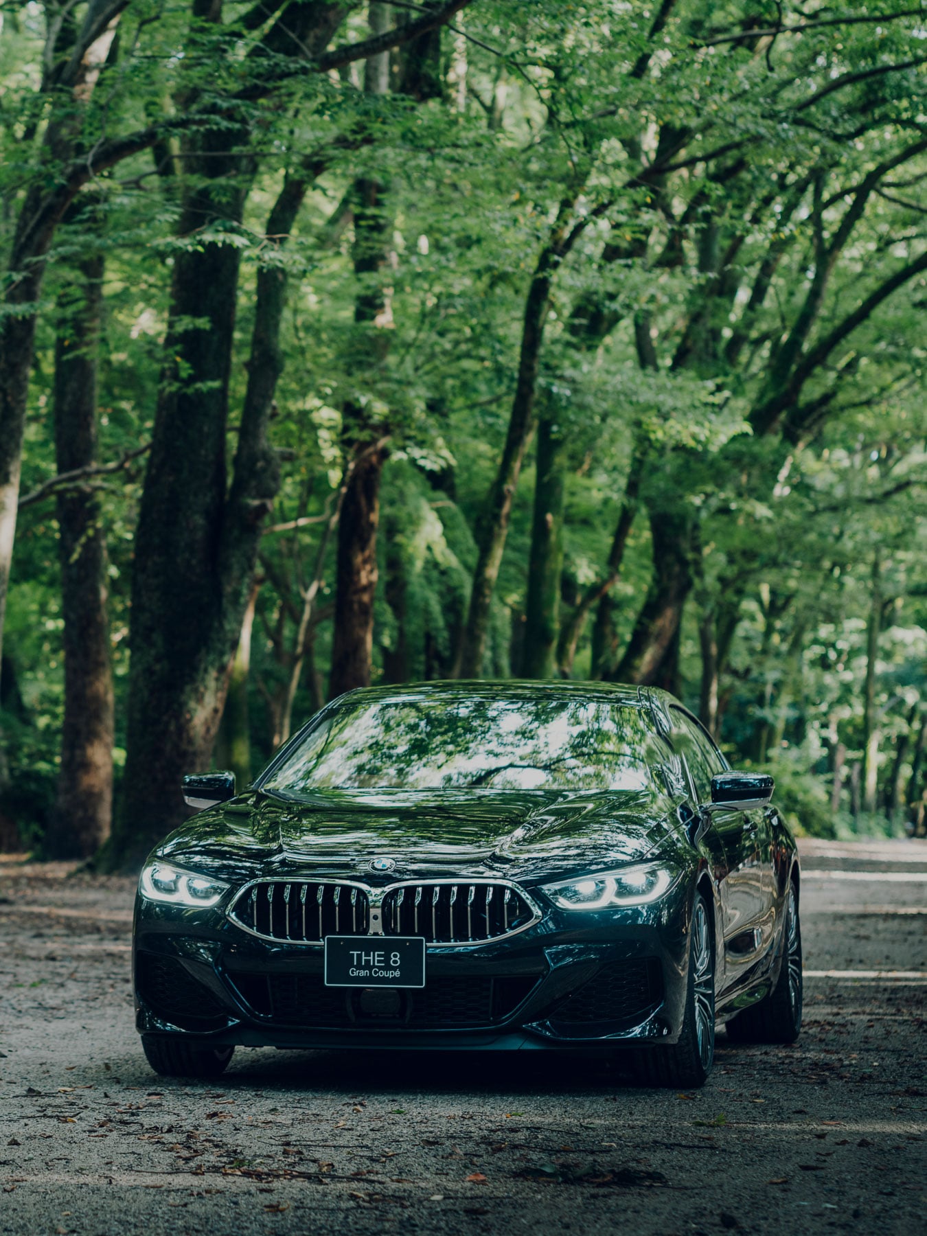 [第4回] BMW 8シリーズ グラン クーペ KYOTO EDITION. BMWと日本の名匠による美と技の頂点。